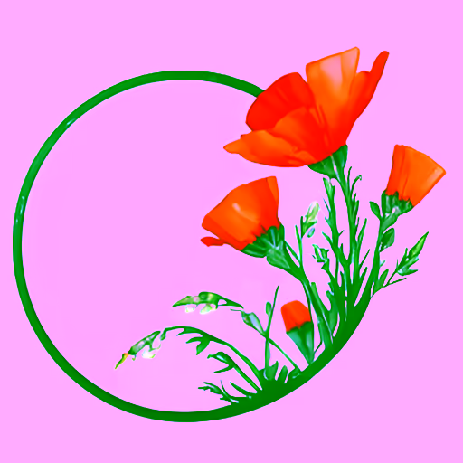 Polished poppy: artistic, high-quality illustration of California poppy flowers wrapped around a circle